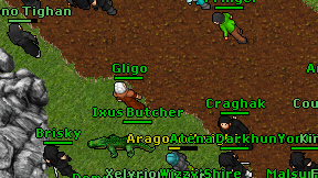 Gligo on screen