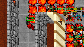 Fiam on screen
