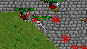 Februsion on screen