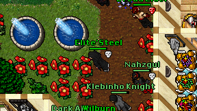 Elite'Steel on screen