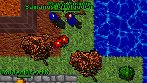 Matolaudem on screen