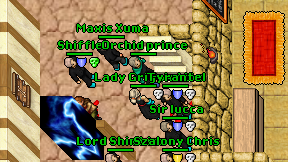 Orchid prince on screen