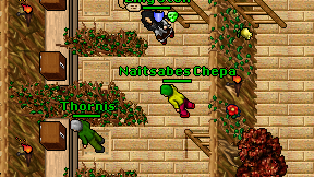 Naitsabes Chepa on screen