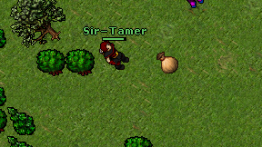 Sir-Tamer on screen