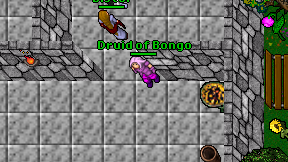 Druid of Bongo on screen