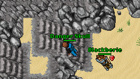 Danger Skull on screen