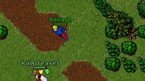 Xorach on screen