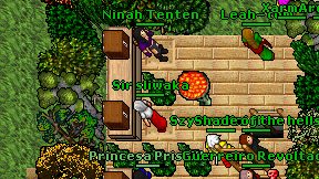 Ninah Tenten on screen