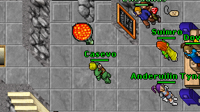 Casevo on screen