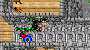 Sonaxew on screen
