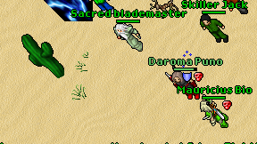 Sacred blademaster on screen