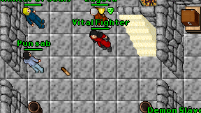 Vital Fighter on screen