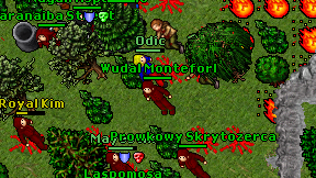 Wudal Monteforl on screen