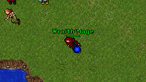 Wraith'Mage on screen