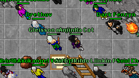 Aniinha Cat on screen