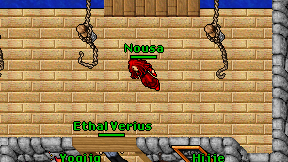 Nousa on screen