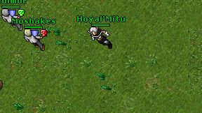 Hoyal'Mitu on screen