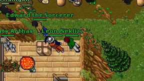 Seklizz on screen