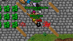 Biboxon on screen