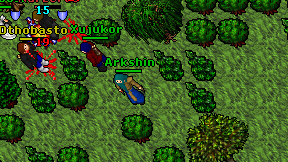 Arkshin on screen