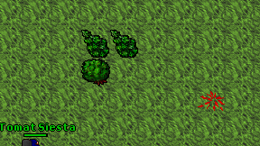 Duke dev on screen