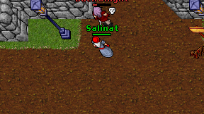 Salinat on screen