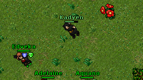 Kadyen on screen