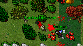 Samtoz Sorcerer on screen