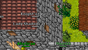 Knight'of Valor on screen
