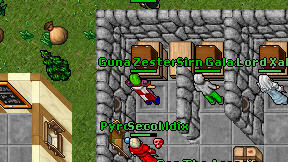 Guna Zesteria on screen