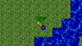 Kamol on screen