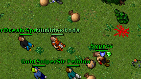 Mumidex Koda on screen
