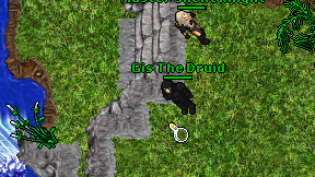 Gis The Druid on screen