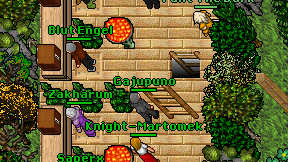 Gajupuno on screen