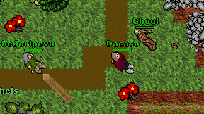 Dacaso on screen