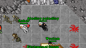 Aladiny paladiny on screen