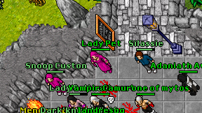 Lady Pet on screen