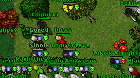 Plevo on screen