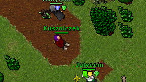 Kuszniczek on screen