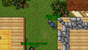 Shir Ad on screen