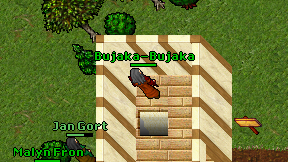Bujaka-Bujaka on screen