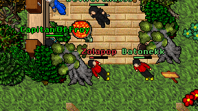 Zolapop on screen