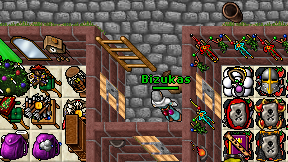 Bizukas on screen