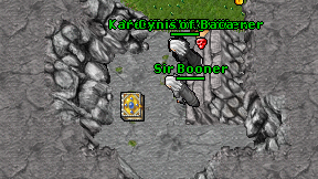 Sir Booner on screen