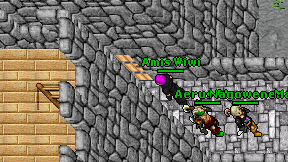 Amis Wiwi on screen