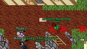 Bright howling on screen