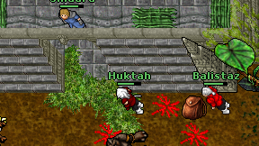 Huktah on screen