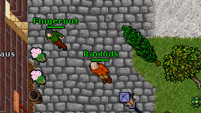 Rachids on screen