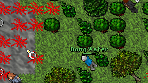 Bong Water on screen