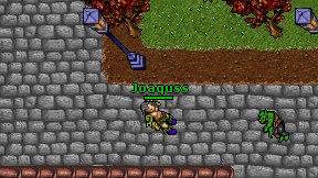 Joaquss on screen